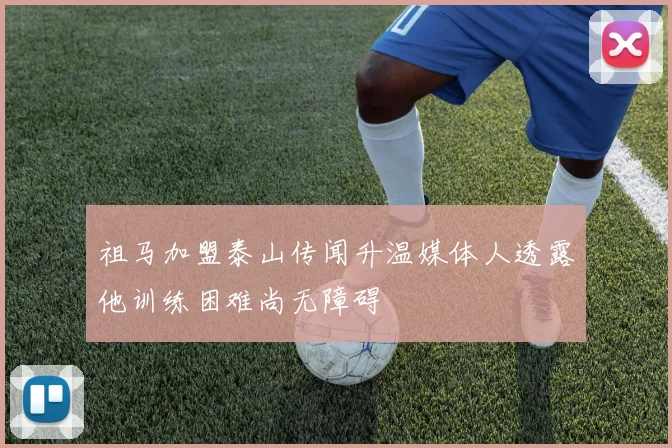 祖马加盟泰山传闻升温媒体人透露他训练困难尚无障碍