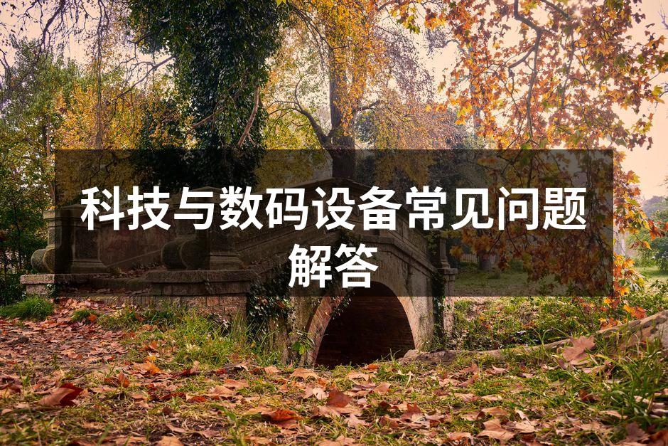 智能手机的选择与使用